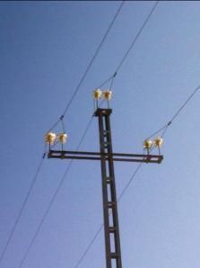 Normas de carácter técnico para las instalaciones eléctricas aéreas con objeto de proteger la avifauna. 25 de septiembre de 2013 APOYO EN TRIANGULO CON AISLADORES RIGIDOS MUY PELIGROSO megustaelmedionatural