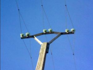 Normas de carácter técnico para las instalaciones eléctricas aéreas con objeto de proteger la avifauna. 25 de septiembre de 2013 APOYO CON AISLADORES RIGIDOS MUY PELIGROSO megustaelmedionatural