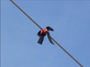 Normas de carácter técnico para las instalaciones eléctricas aéreas con objeto de proteger la avifauna. 25 de septiembre de 2013 BALIZA SALVA PAJAROS megustaelmedionatural