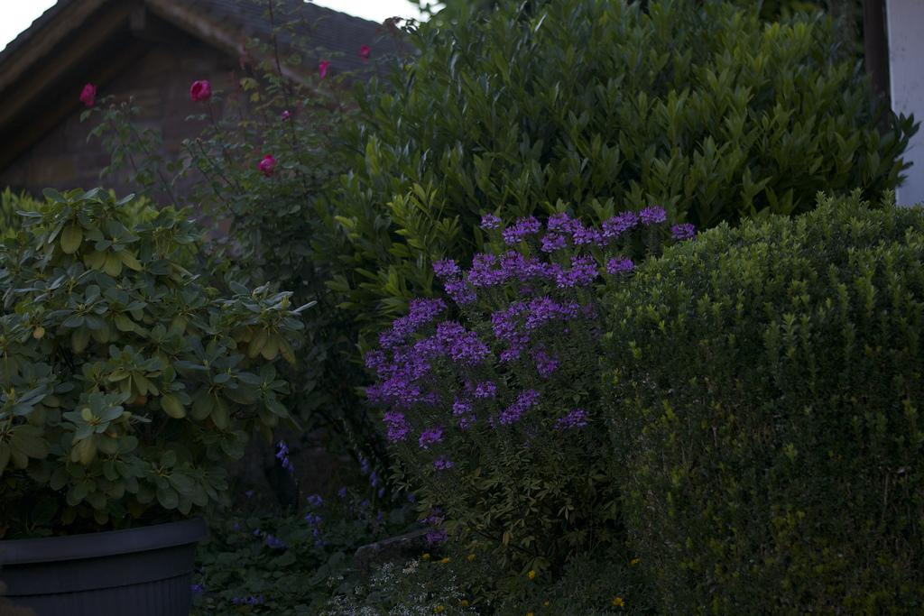 Allí se queda un trocito de mi corazón... DSC_0008