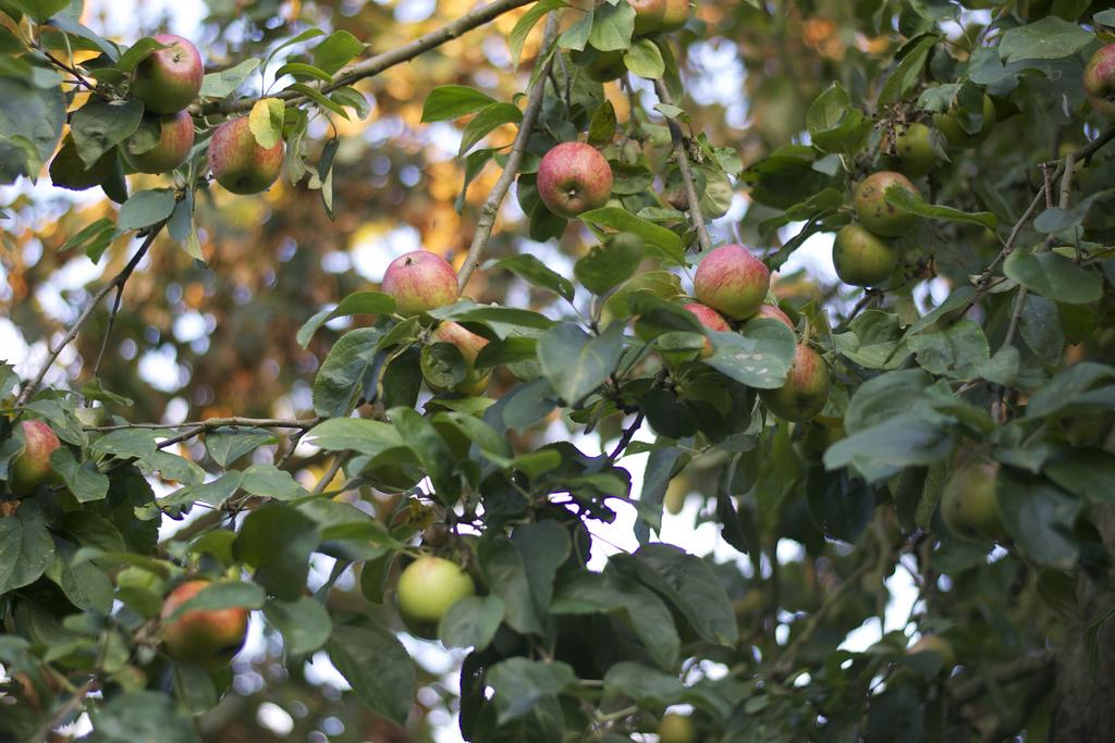 Allí se queda un trocito de mi corazón... DSC_0031
