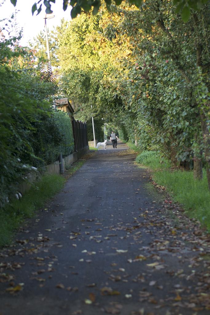 Allí se queda un trocito de mi corazón... DSC_0027