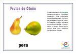 Frutas de Otoño. Vocabulario básico Frutas de Otoño. Vocabulario básico