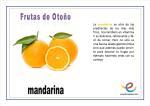 Frutas de Otoño. Vocabulario básico Frutas de Otoño. Vocabulario básico