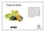 Frutas de Otoño. Vocabulario básico Frutas de Otoño. Vocabulario básico