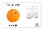 Frutas de Otoño. Vocabulario básico Frutas de Otoño. Vocabulario básico
