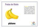 Frutas de Otoño. Vocabulario básico Frutas de Otoño. Vocabulario básico