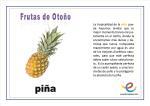 Frutas de Otoño. Vocabulario básico Frutas de Otoño. Vocabulario básico