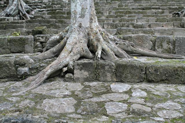 Llegando a Campeche en el #AllMéxicoTrip Llegando a Campeche en el #AllMéxicoTrip