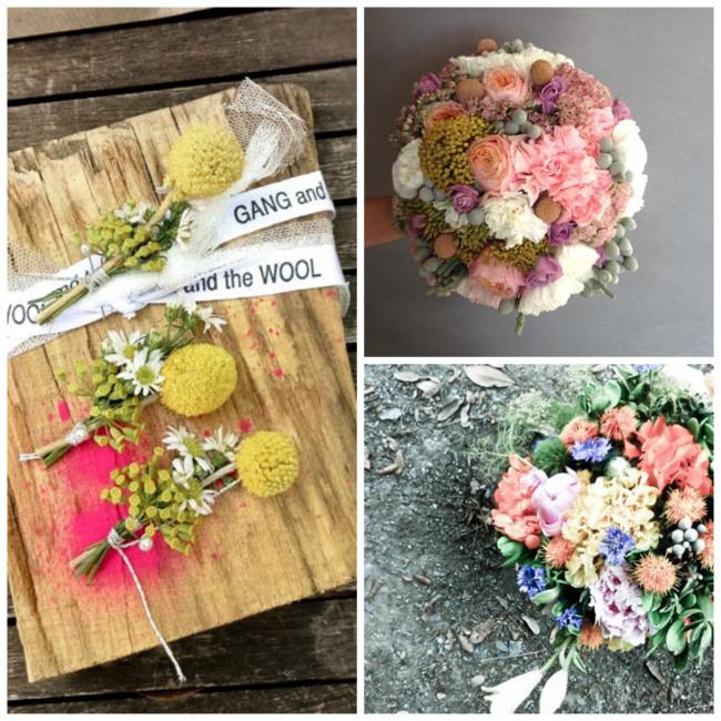 Descubriendo a … Gang and the wool Imagen