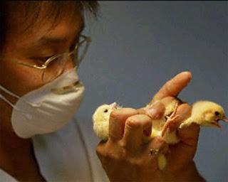 En lo profundo del cerebro En lo profundo del cerebro