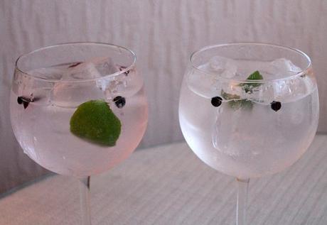 Gin Tonic (con Tanqueray) IMG_6945