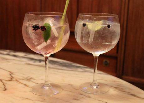Gin Tonic (con Tanqueray) IMG_6962