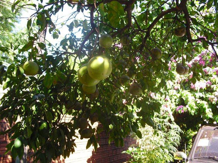 Paraguay tierra bendita