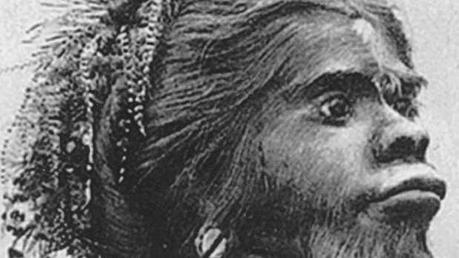 Julia Pastrana, La Indescriptible julia-pastrana-619x348