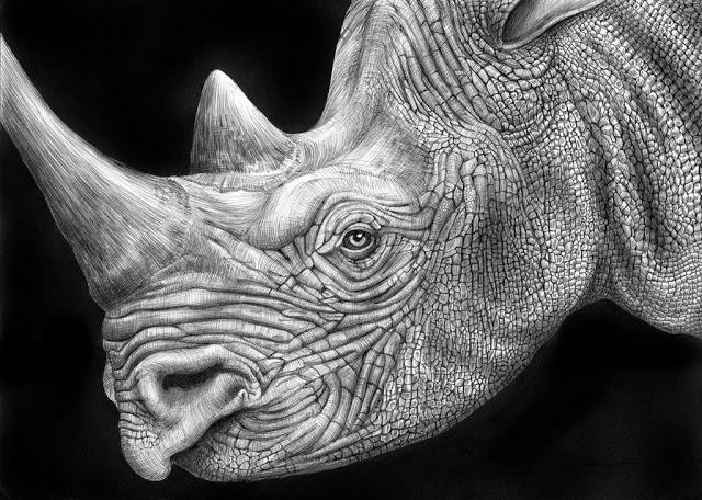 Los hiperrealistas animales de tinta de Tim Jeffs