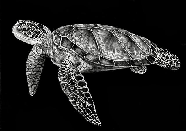 Los hiperrealistas animales de tinta de Tim Jeffs