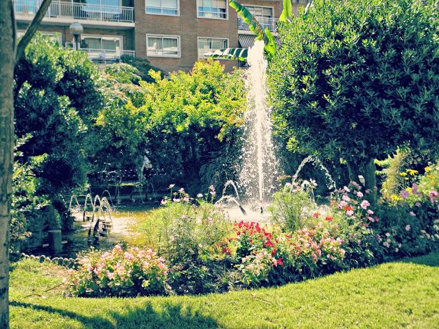 Don Flamingo Don Flamingo