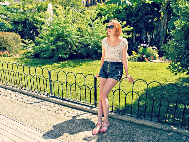 Don Flamingo Don Flamingo