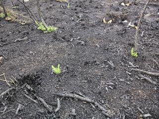 Retomando el blog Retomando el blog