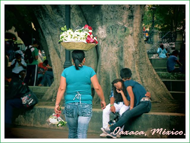 Maestría en la cabeza Maestría en la cabeza