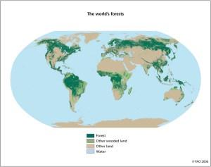 o_Boques en zonas ecológicas Globales