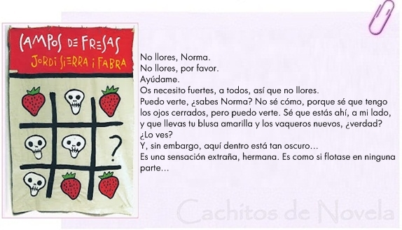 Cachitos de novela #20: Campos de fresas