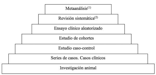 La hoja que pesa más que 412 libros