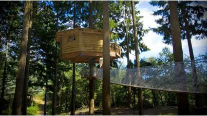 cabañas en los árboles Cabañas en los árboles