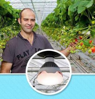 LED 3: CURIOSIDADES LED 3: CURIOSIDADES