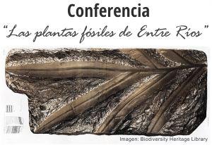 Conferencia sobre “Las Plantas Fósiles de Entre Ríos” (Concordia, Argentina)