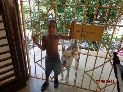 Estado de Sats o el reality show de Ana Luisa Rubio Estado de Sats o el reality show de Ana Luisa Rubio