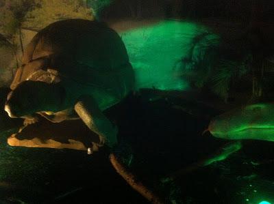 Animatronix - La Era del Hielo (Parte II) Animatronix - La Era del Hielo (Parte II)