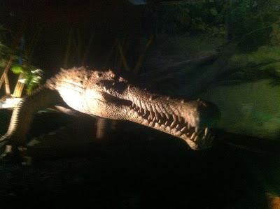 Animatronix - La Era del Hielo (Parte II) Animatronix - La Era del Hielo (Parte II)