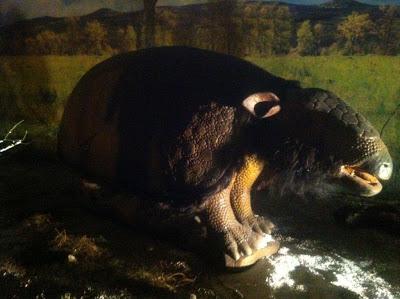 Animatronix - La Era del Hielo (Parte I) Animatronix - La Era del Hielo (Parte I)