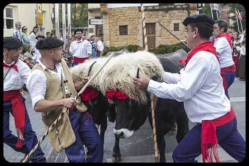 Día de Campoo, Reinosa 2013