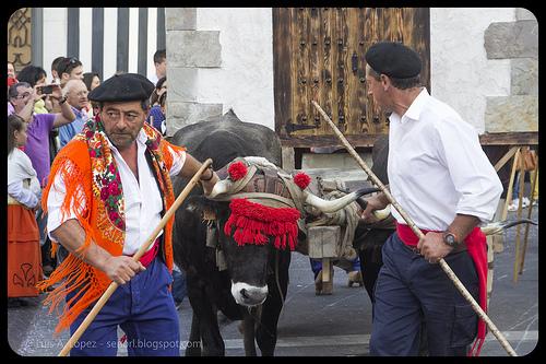 Día de Campoo, Reinosa 2013