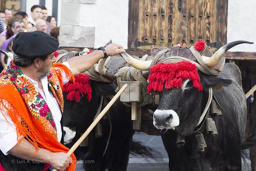 Día de Campoo, Reinosa 2013