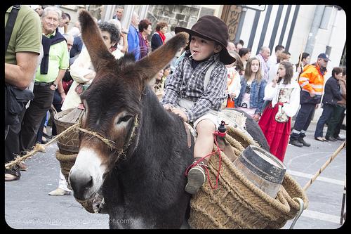 Día de Campoo, Reinosa 2013