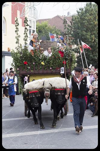 Día de Campoo, Reinosa 2013