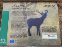 Paseo con la familia para disfrutar de la Berrea - Footpath with the family to hear the Deer Rut.