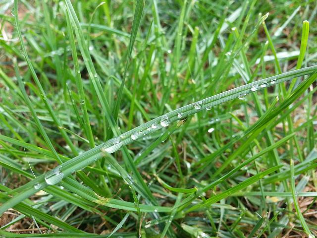 Androidografia Barakaldo CCCXLIII. Gotas VII Androidografia Barakaldo 1522