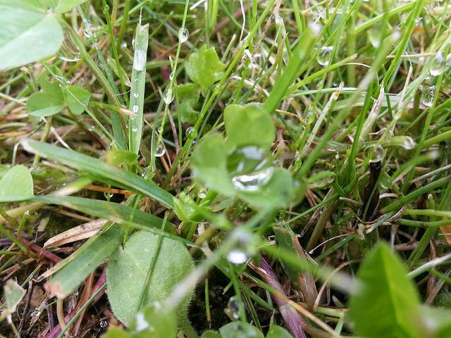 Androidografia Barakaldo CCCXLIII. Gotas VII Androidografia Barakaldo 1523