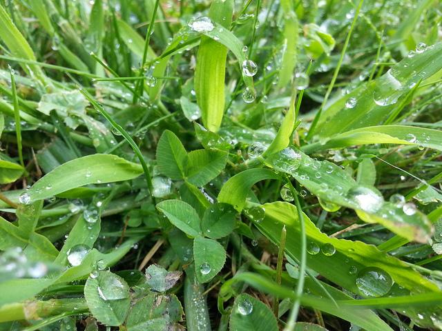 Androidografia Barakaldo CCCXLIII. Gotas VII Androidografia Barakaldo 1519