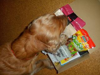 PetSecret de Septiembre PetSecret de Septiembre