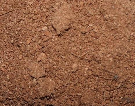 Cómo aligerar el peso del sustrato de tu macetohuerto Fibra De Coco Sustrato Para Reptiles Ayuda A Mantener Humeda 20130911145450 1024x682 Cómo aligerar el peso del sustrato de tu macetohuerto