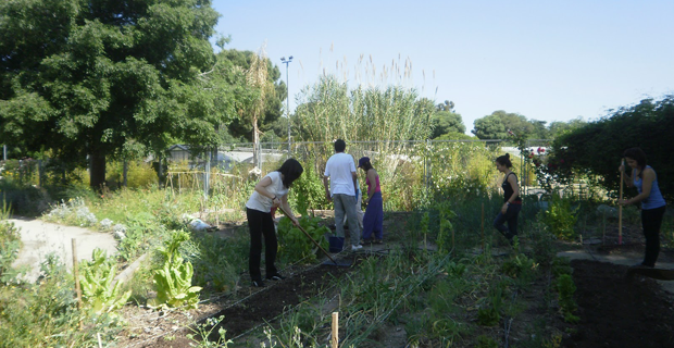 Actividades gratuitas y ecológicas en Madrid Puedes eligir entre muchas actividades ecológicas y gratuitas este otoño