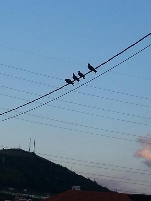 Androidografia Barakaldo CCCXLIV. Twitter (Los pajaritos) Androidografia Barakaldo 1524