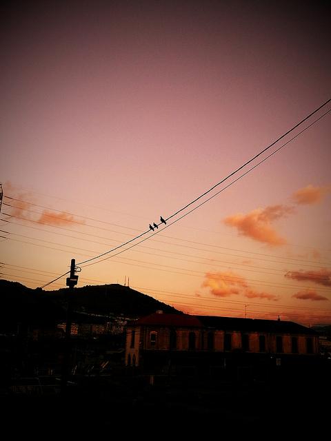 Androidografia Barakaldo CCCXLIV. Twitter (Los pajaritos) Androidografia Barakaldo 1525