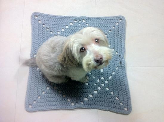 Tutorial alfombra cuadrada de trapillo DIY tutorial how to crochet square rug granny square t-shirt yarn